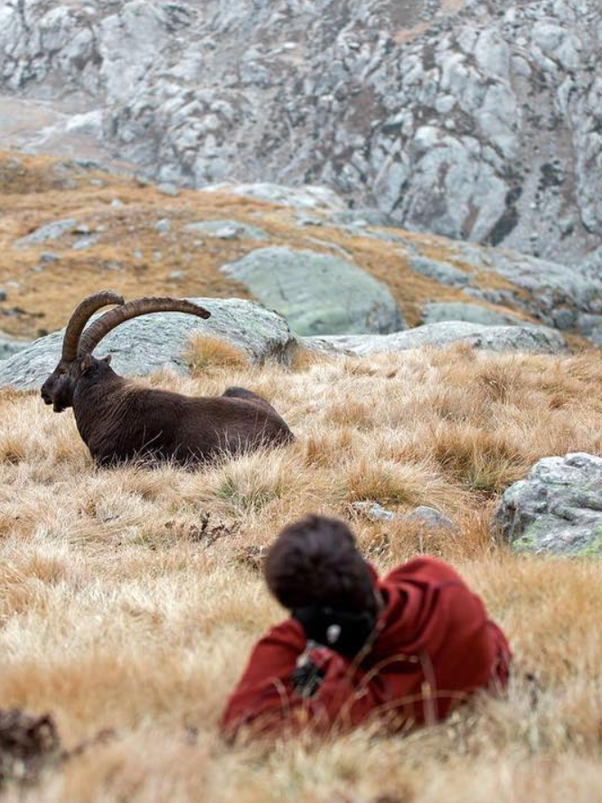 Mercantour parc